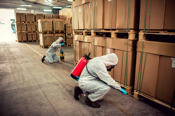 Best Bed Bug Extermination  in Sage, CA