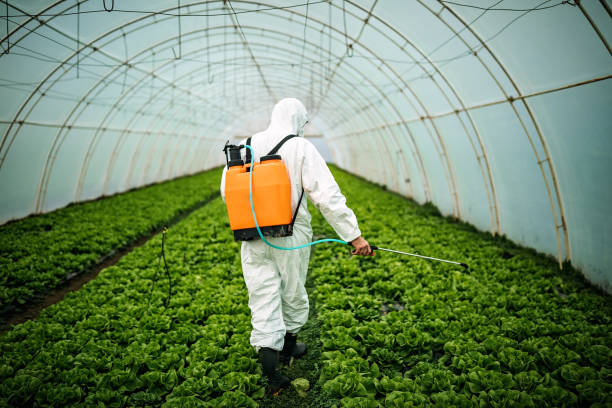 Pest Prevention Services in Sage, CA
