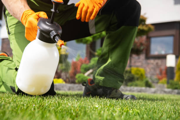 Reliable Sage, CA Pest Control Solutions