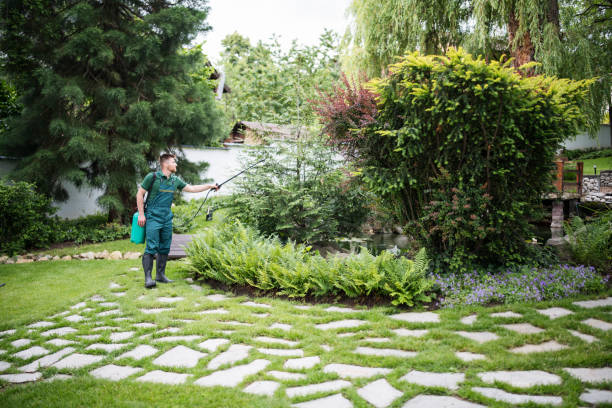 Best Pest Prevention Services  in Sage, CA