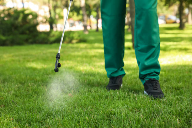 Pest Control Cost in Sage, CA