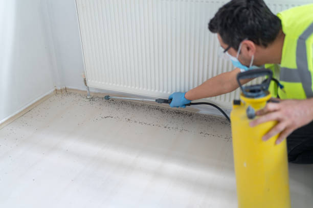 Best Residential Pest Control  in Sage, CA